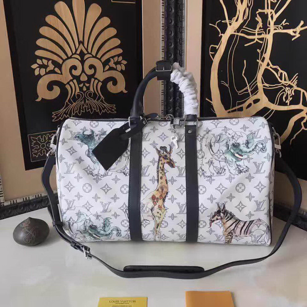 LV Travel Bag