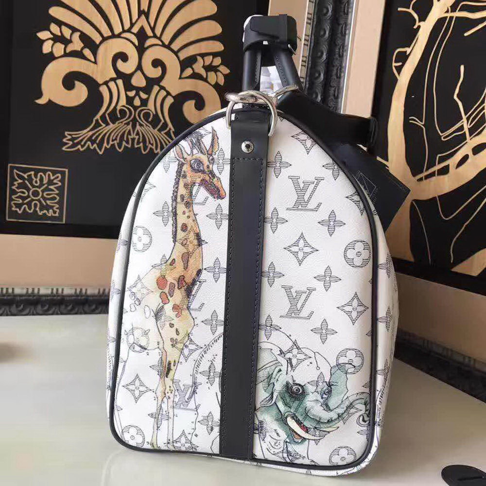 LV Travel Bag