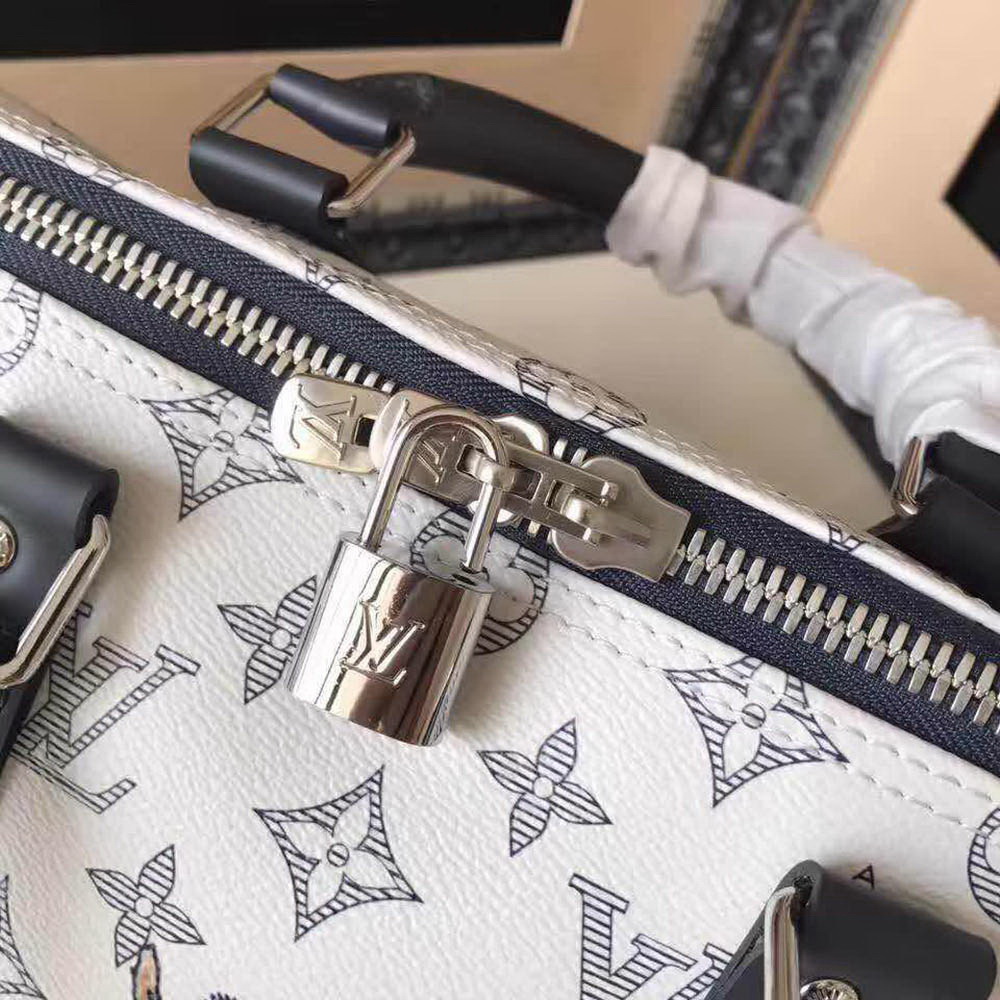 LV Travel Bag