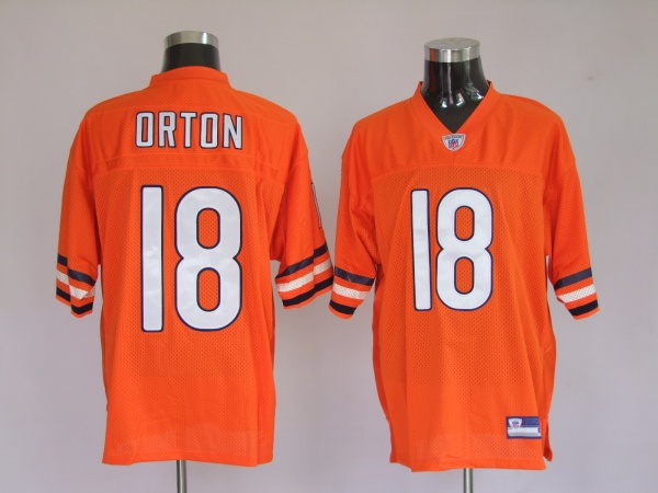 NFL Chicago Bears-064