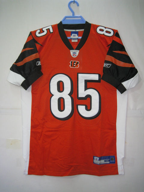 NFL Cincinnati Bengals-064