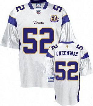 NFL Minnesota Vikings-041