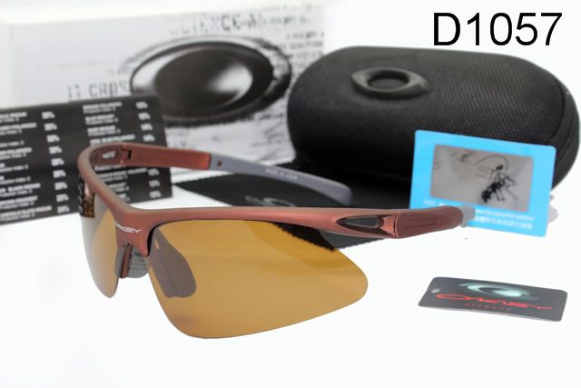 OKL Polarizer Glasses-043