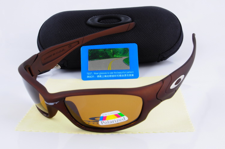 OKL Polarizer Glasses-196