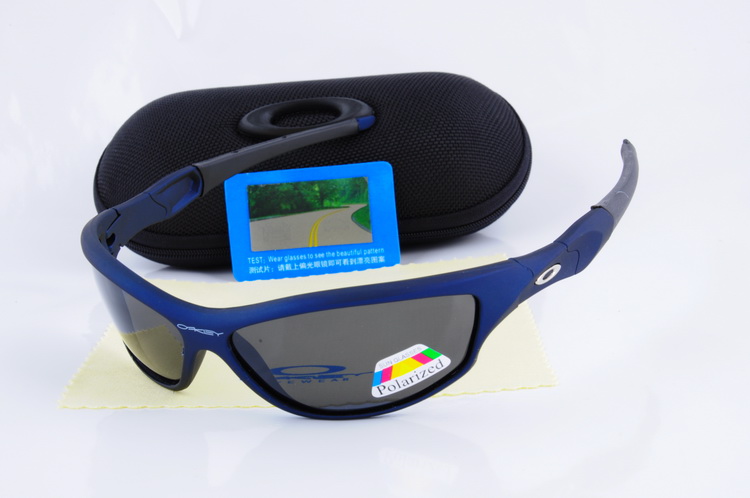 OKL Polarizer Glasses-253