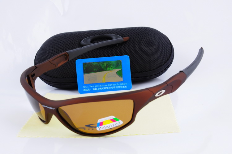 OKL Polarizer Glasses-256