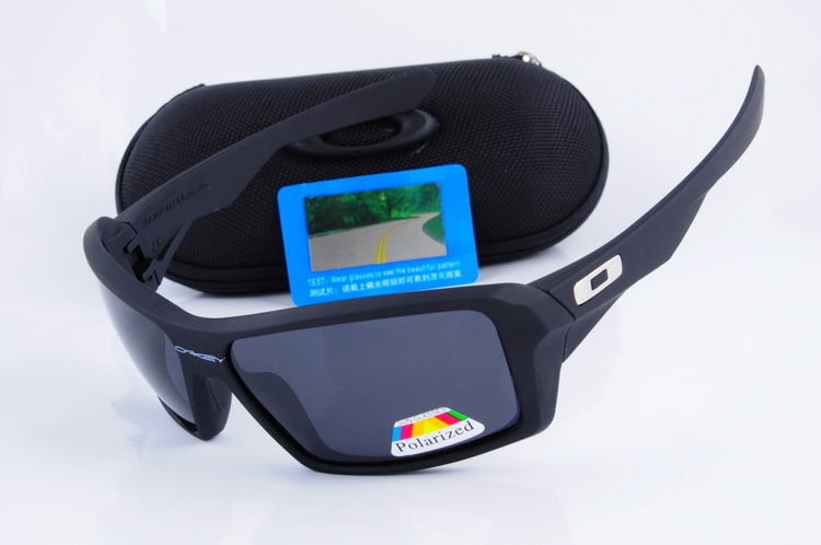 OKL Polarizer Glasses-273