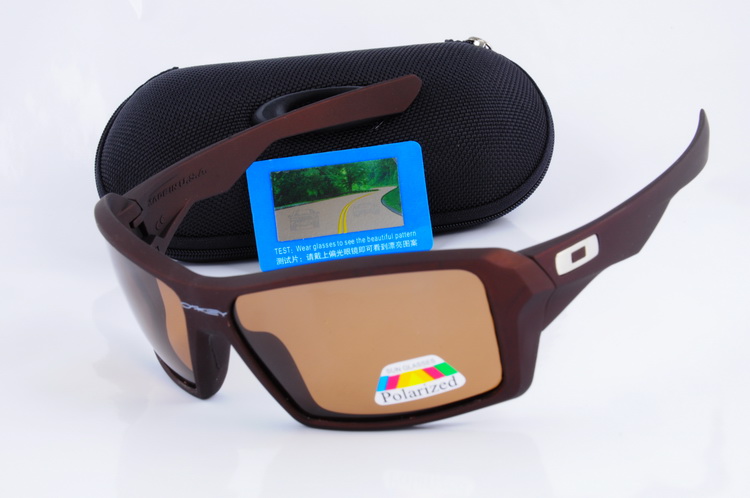 OKL Polarizer Glasses-274