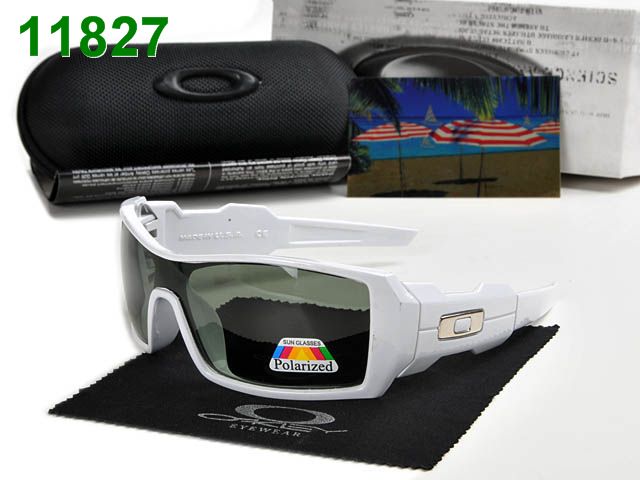 OKL Polarizer Glasses-430