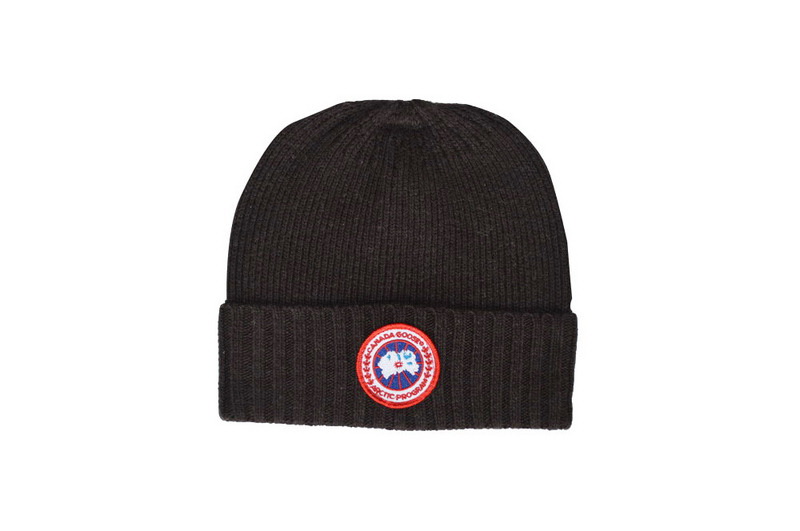 Other brand beanie hats-108