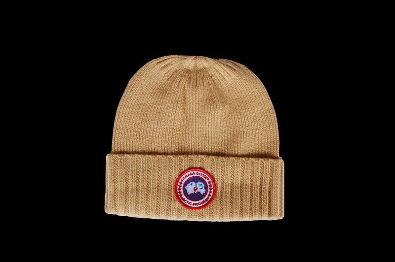 Other brand beanie hats-110