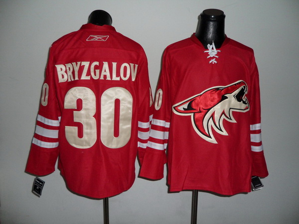 Phoenix Coyotes jerseys-010