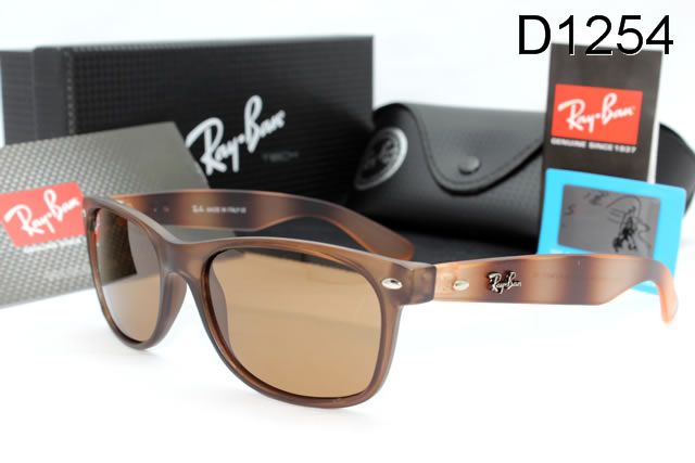 R Polarizer Glasses-006