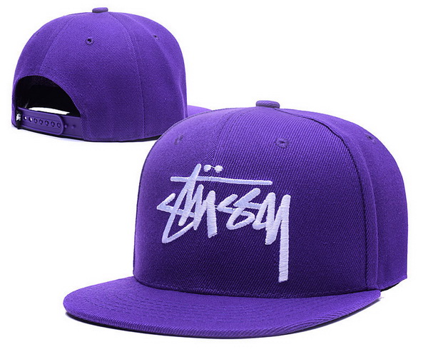 Stussy Snapbacks-044