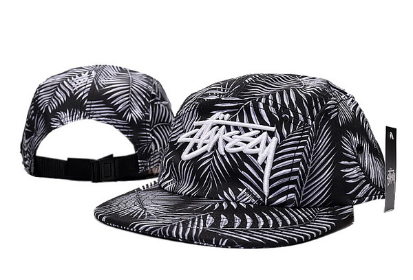 Stussy Snapbacks-097