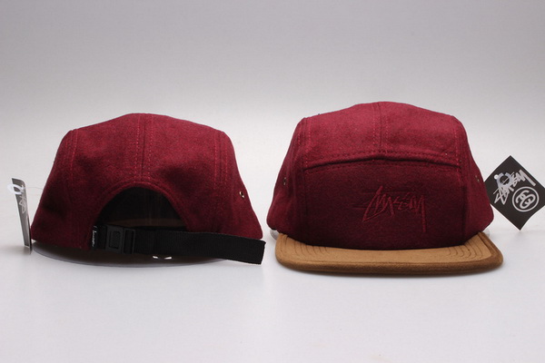 Stussy Snapbacks-114