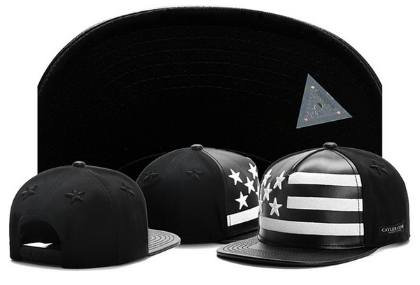 Stussy Snapbacks-132