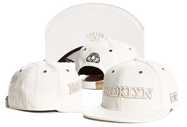 Stussy Snapbacks-139