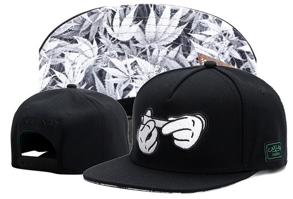 Stussy Snapbacks-148