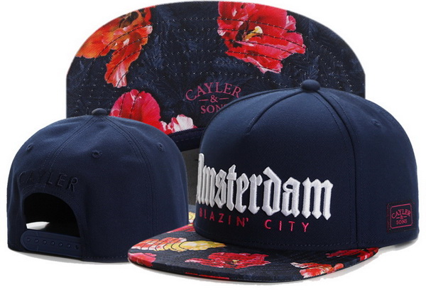 Stussy Snapbacks-155