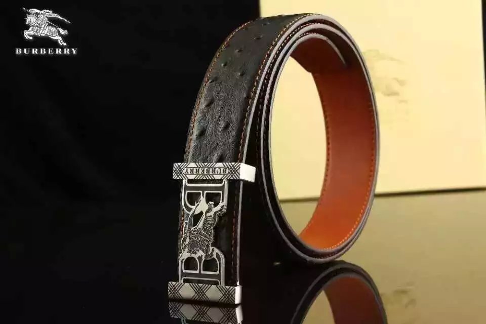 Super Perfect Quality Burberry Belts(100% Genuine Leather,steel buckle)-256