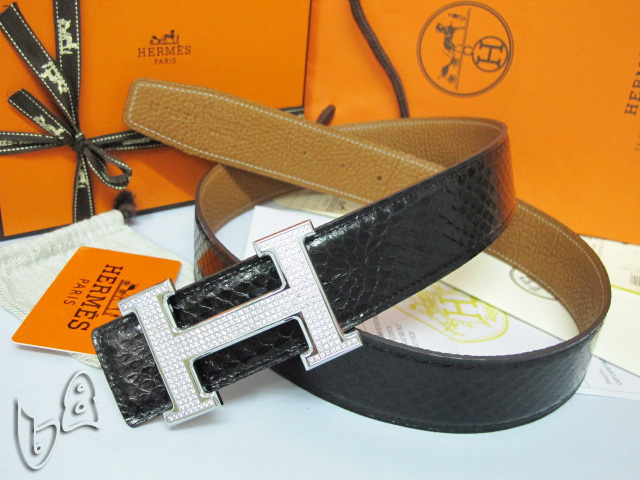 Super Perfect Quality Hermes Belts(100% Genuine Leather,Reversible Steel Buckle)-493