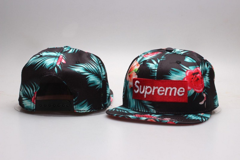 Supreme Snapbacks-040