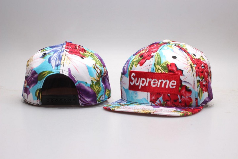 Supreme Snapbacks-041