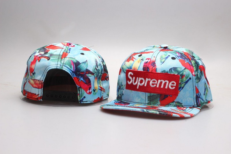 Supreme Snapbacks-044