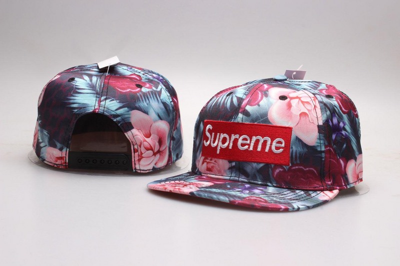 Supreme Snapbacks-050