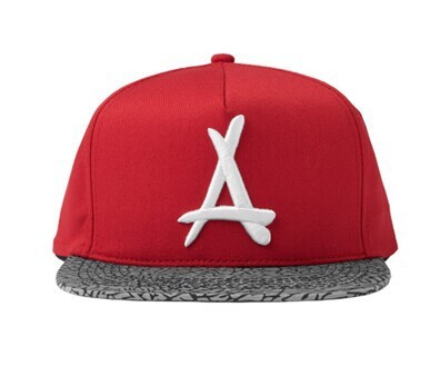 Tha Alumni Snapbacks-004