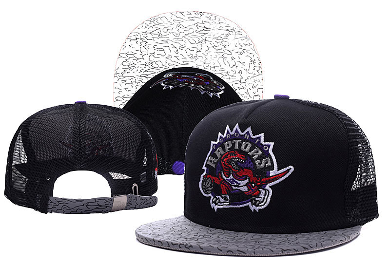 Toronto Raptors Snapback-004