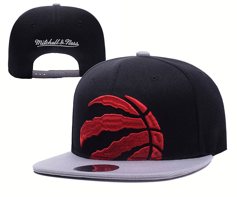 Toronto Raptors Snapback-005