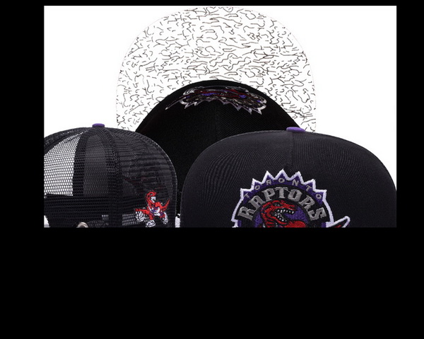 Toronto Raptors Snapback-008