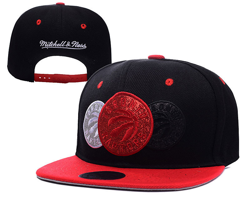 Toronto Raptors Snapback-015