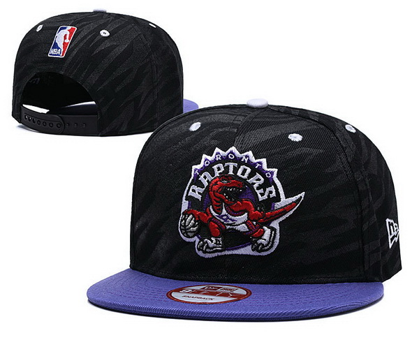 Toronto Raptors Snapback-023