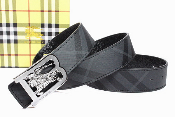 Burberry Belt AAA Quality-035