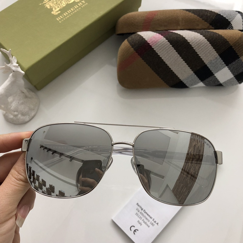 Burberry Sunglasses AAAA-113