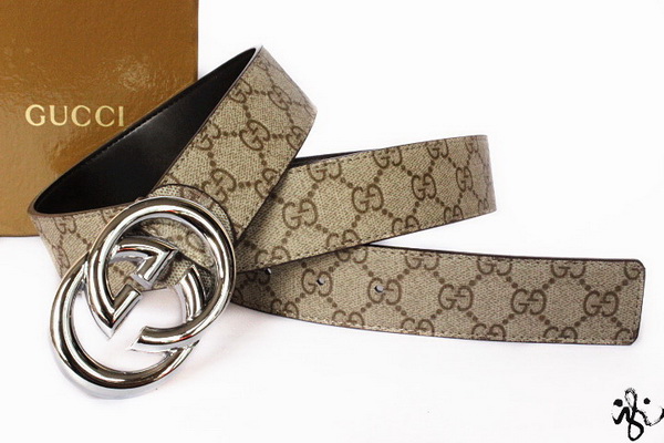 Gucci Belt AAA Quality-313