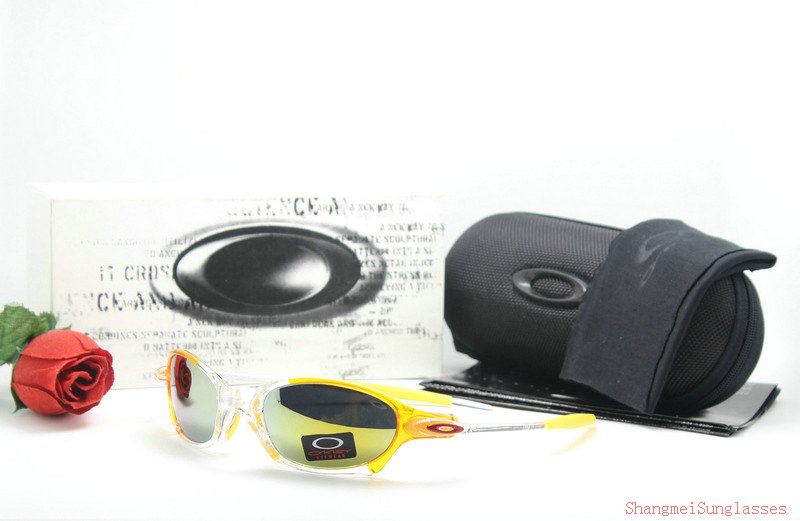 Oakley Sunglasses AAA-383