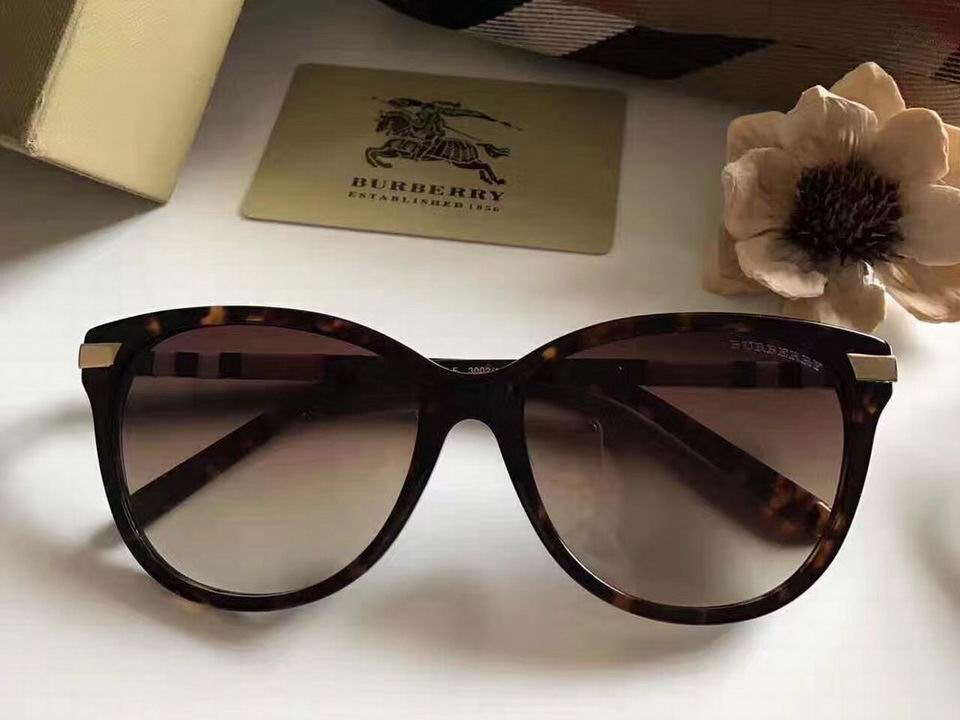 Burberry Sunglasses AAAA-281