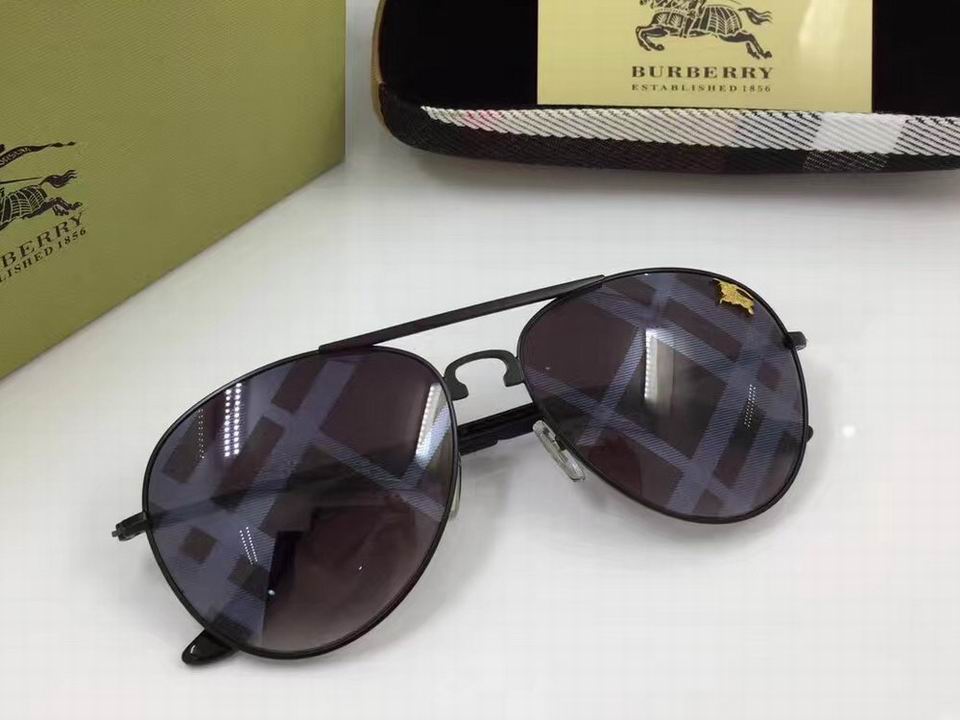 Burberry Sunglasses AAAA-291