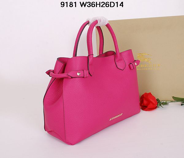 Burberry Handbags AAA-042