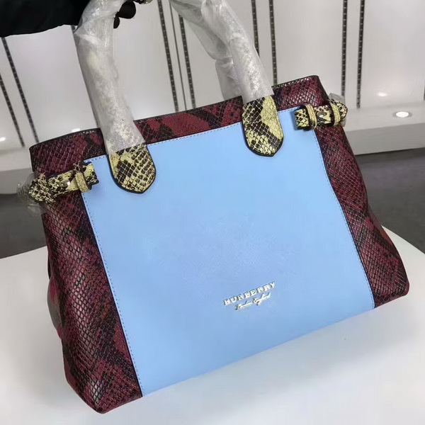 Burberry Handbags AAA-106