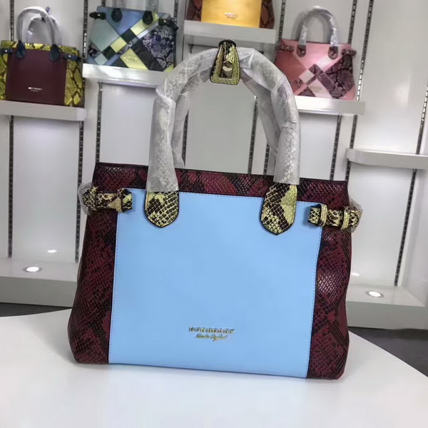 Burberry Handbags AAA-106