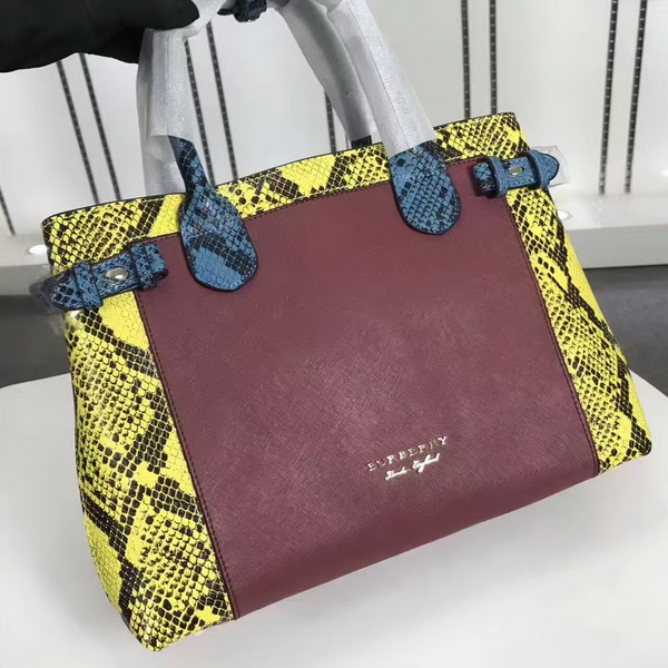 Burberry Handbags AAA-108