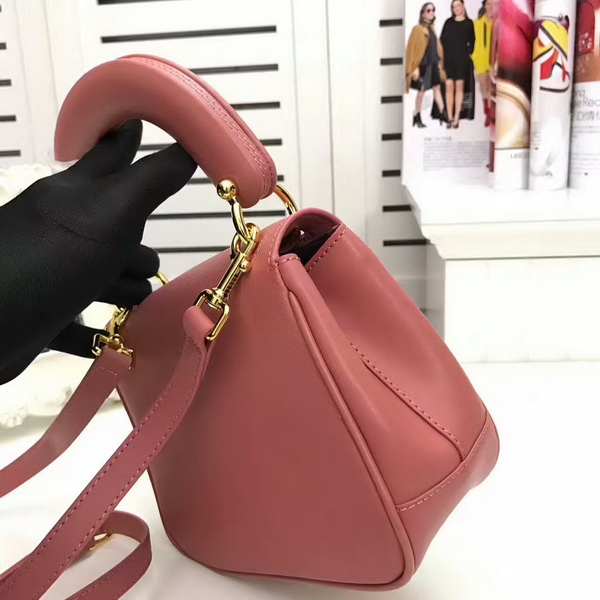 Burberry Handbags AAA-109