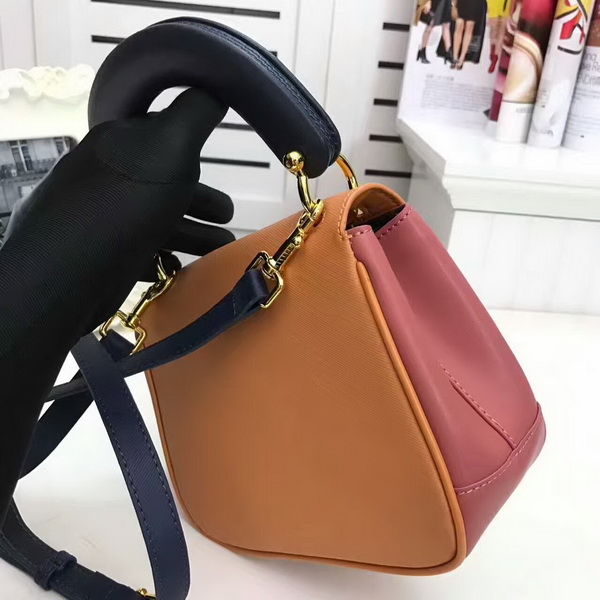 Burberry Handbags AAA-113