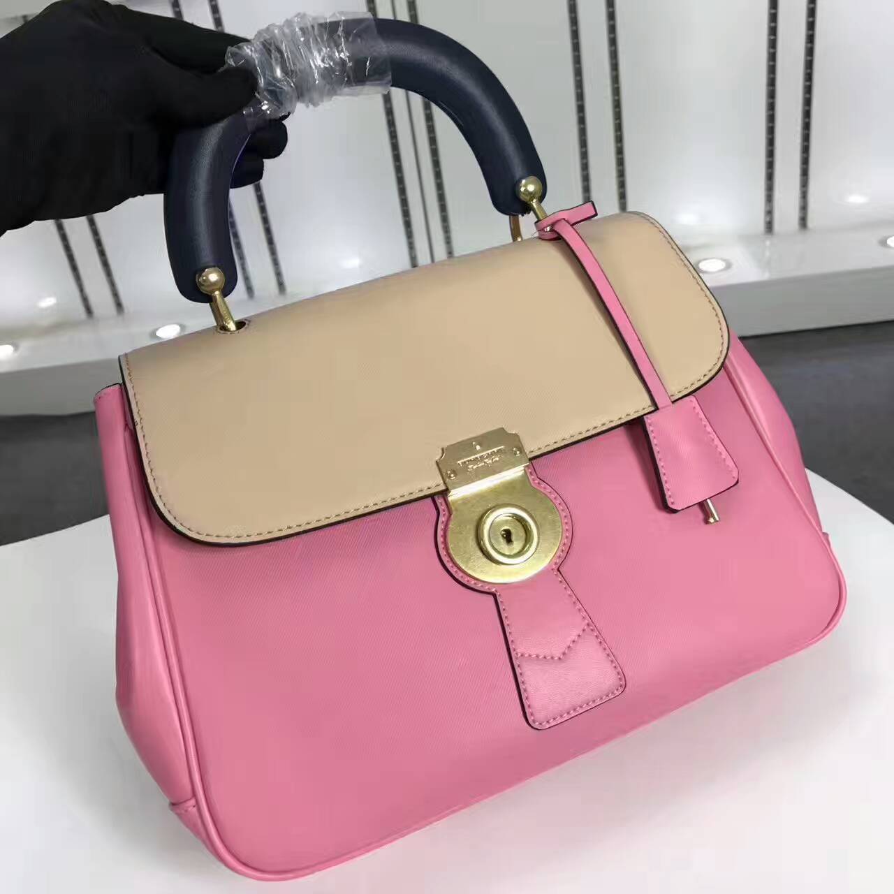 Burberry Handbags AAA-119