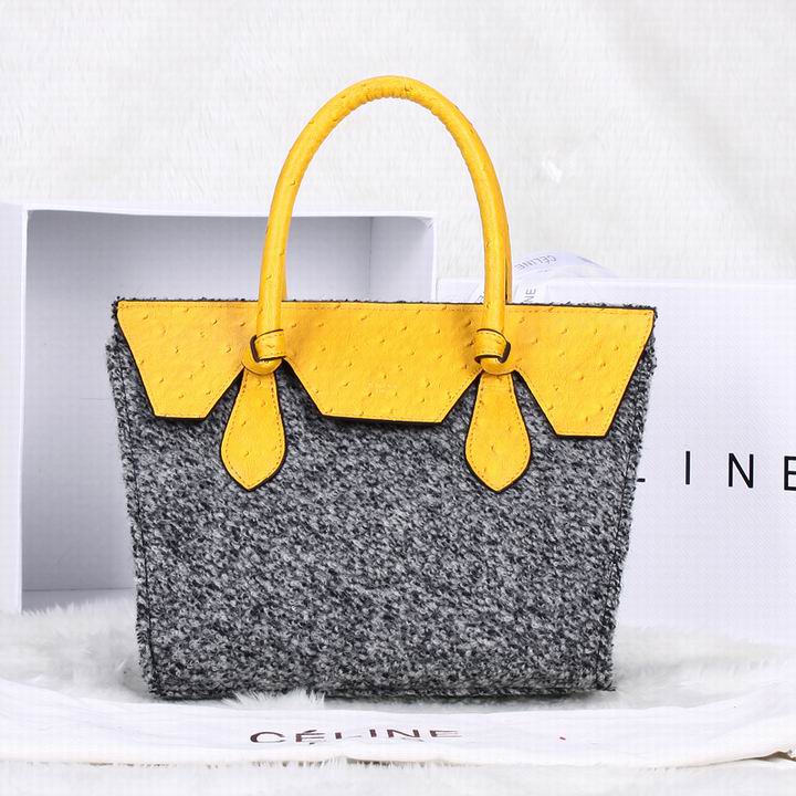 Celine handbags AAA-105